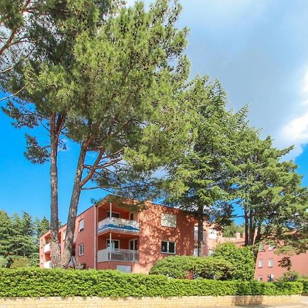Vesna S Apartment Novigrad  Екстер'єр фото