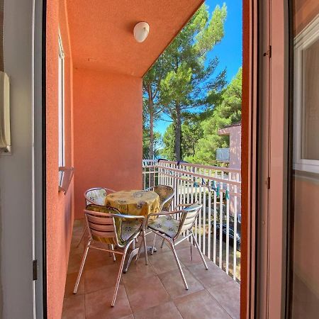 Vesna S Apartment Novigrad  Екстер'єр фото