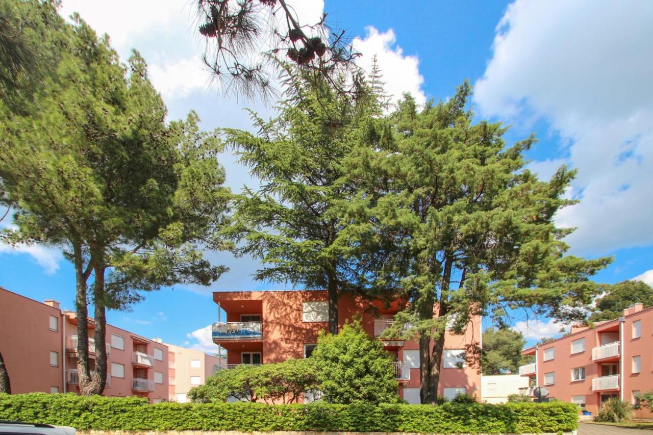 Vesna S Apartment Novigrad  Екстер'єр фото
